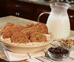 Chocolate Chip Oatmeal Treats
